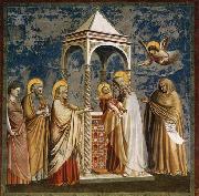 Giotto, Presentation of Christ at the Temple